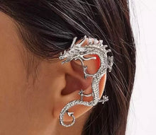 Load image into Gallery viewer, Crawler Style Earrings