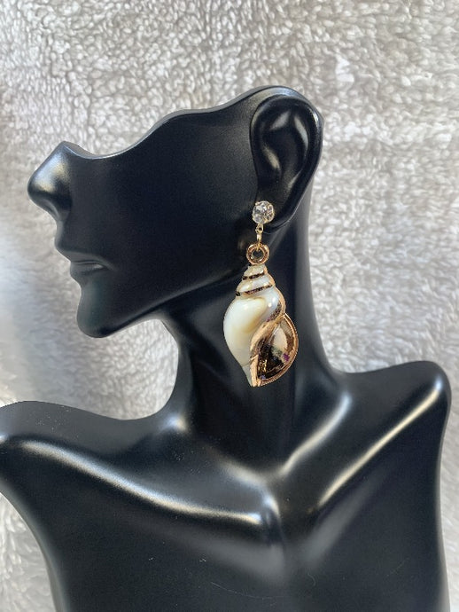 Sea Shell Earrings