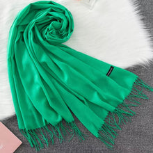 Load image into Gallery viewer, Winter Pashmina Scarf